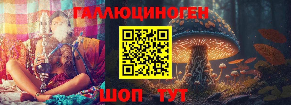 Галлюциногенные грибы Psilocybine cubensis Пенза